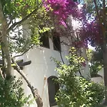 Ece Bodrum