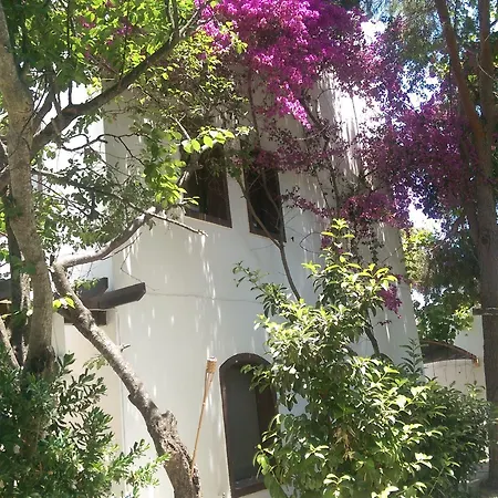 Ece Bodrum