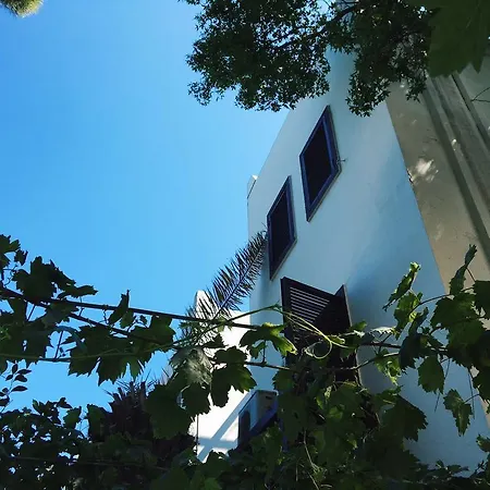 Ece Veganhotel Bodrum Otel Göltürkbükü
