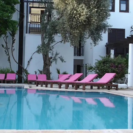 Otel Ece Veganhotel Bodrum 3*