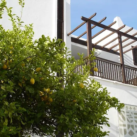 Ece Bodrum
