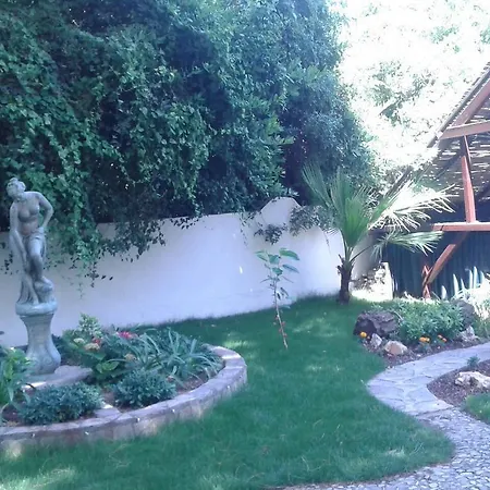 Ece Veganhotel Bodrum Göltürkbükü