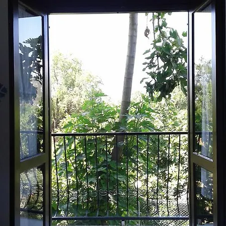 Ece Veganhotel Bodrum Otel Göltürkbükü