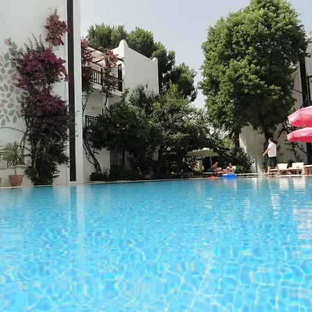 Ece Veganhotel Bodrum Göltürkbükü