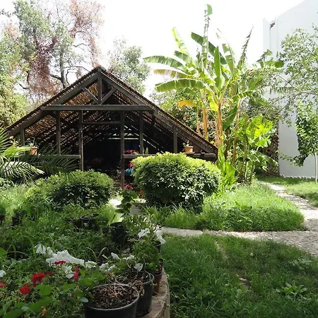 Ece Veganhotel Bodrum Otel Göltürkbükü
