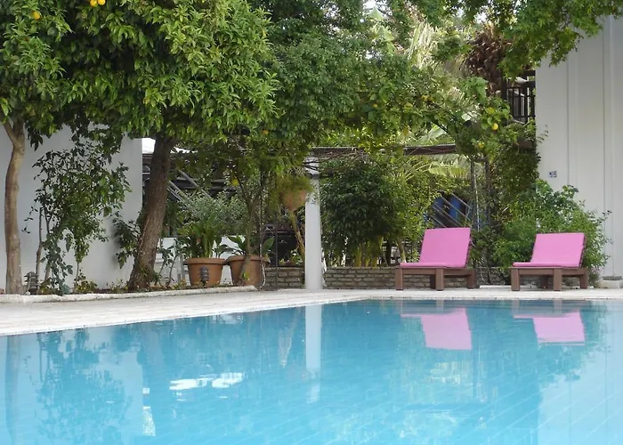 Ece Bodrum Göltürkbükü