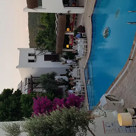 Ece Veganhotel Bodrum Hotel Göltürkbükü
