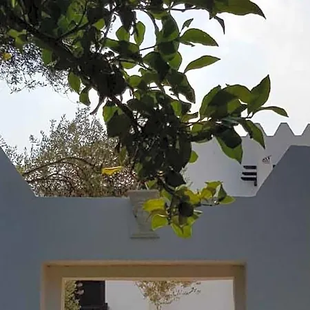 Ece Veganhotel Bodrum Hotel Göltürkbükü