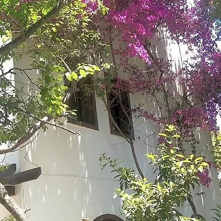 Ece Veganhotel Bodrum