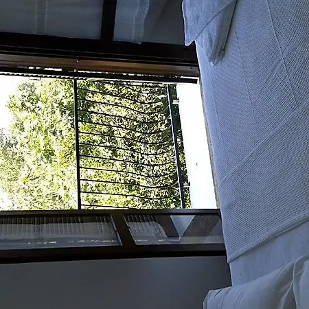 Hotel Ece Veganhotel Bodrum Göltürkbükü