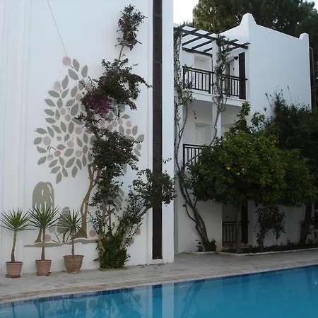 Отель Ece Bodrum 3*