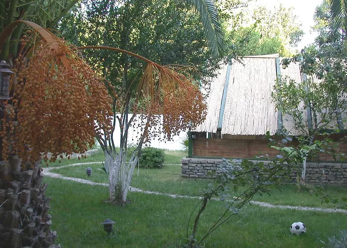 Отель Ece Bodrum Гёльтюрбюку